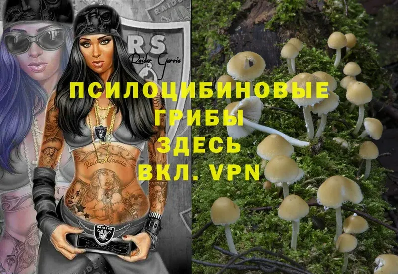 это как зайти  Оленегорск  Псилоцибиновые грибы Magic Shrooms 